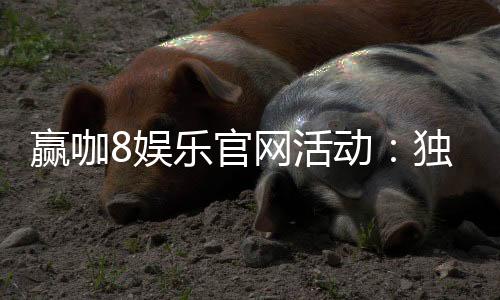 赢咖8娱乐官网活动：独家优惠与精彩赛事等你来参与