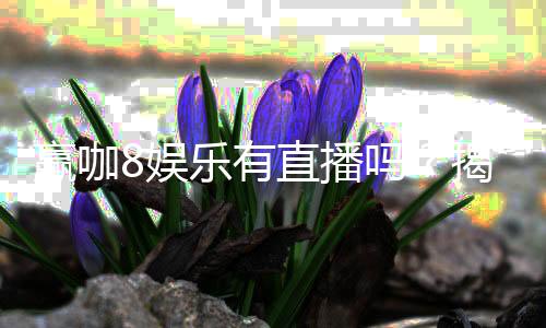 赢咖8娱乐有直播吗?揭秘平台真人直播与特色游戏体验