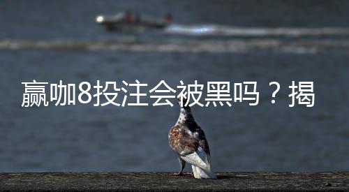 赢咖8投注会被黑吗？揭秘平台安全性与防黑技巧