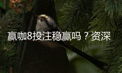 赢咖8投注稳赢吗？资深玩家揭秘稳赢策略与实战技巧