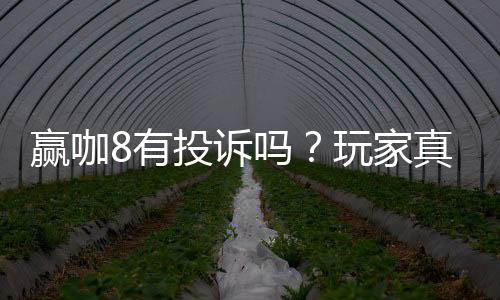 赢咖8有投诉吗？玩家真实反馈与平台解析