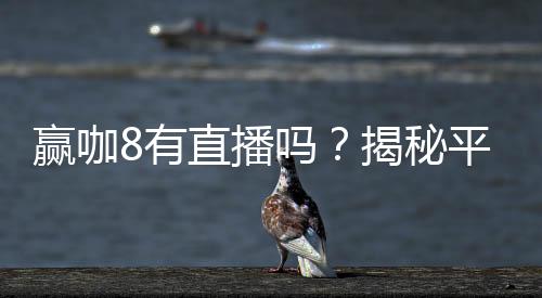 赢咖8有直播吗?揭秘平台直播功能与精彩赛事