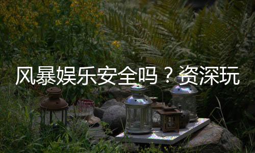 风暴娱乐安全吗?资深玩家解析平台真实性与防护措施