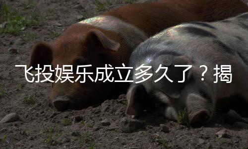 飞投娱乐成立多久了？揭秘平台发展历程与玩家真实体验