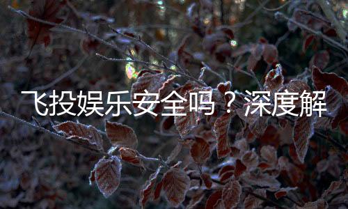 飞投娱乐安全吗？深度解析平台可靠性与玩家保障措施