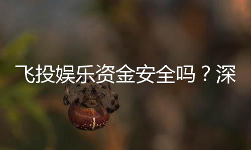 飞投娱乐资金安全吗？深度解析平台保障措施与玩家实测反馈