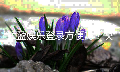 顺盈娱乐登录方便吗？快速注册与流畅体验全解析