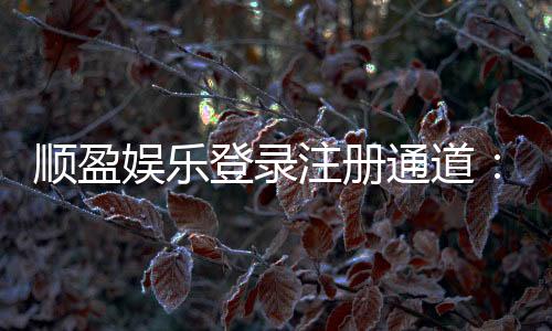 顺盈娱乐登录注册通道:快速注册指南与游戏体验分享