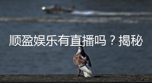 顺盈娱乐有直播吗？揭秘平台真人直播与特色游戏体验
