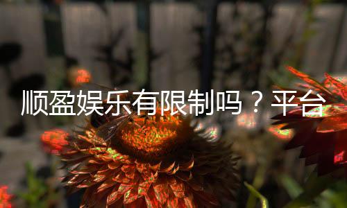 顺盈娱乐有限制吗?平台规则与玩法限制详解