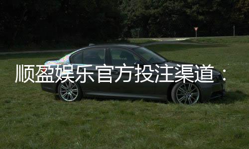 顺盈娱乐官方投注渠道：安全可靠的娱乐平台首选