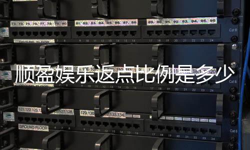顺盈娱乐返点比例是多少？全面解析返点规则与计算方式
