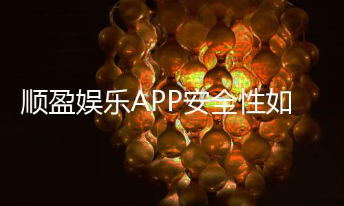 顺盈娱乐APP安全性如何？深度解析平台保障措施与玩家体验