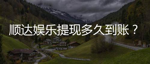 顺达娱乐提现多久到账?资深玩家实测到账时效解析