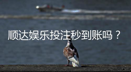 顺达娱乐投注秒到账吗？实测到账速度与平台可靠性分析