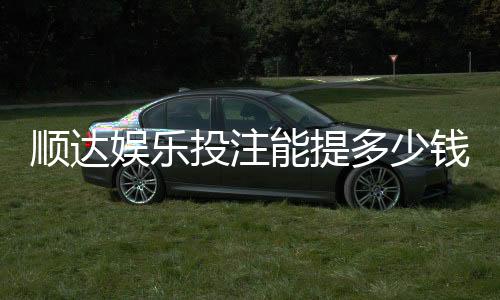 顺达娱乐投注能提多少钱?揭秘提款额度与到账规则
