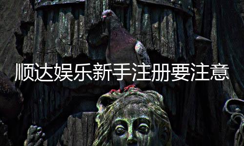 顺达娱乐新手注册要注意什么?5个关键细节助你安全畅玩