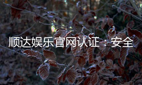 顺达娱乐官网认证:安全可靠的官方平台体验指南