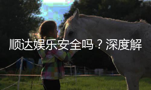 顺达娱乐安全吗?深度解析平台可靠性与玩家真实体验