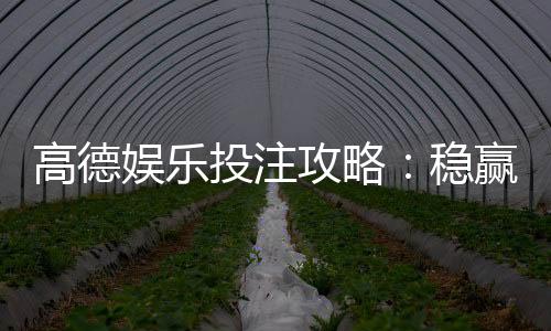 高德娱乐投注攻略：稳赢技巧与实战经验分享