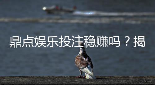 鼎点娱乐投注稳赚吗？揭秘真实盈利策略与风险控制