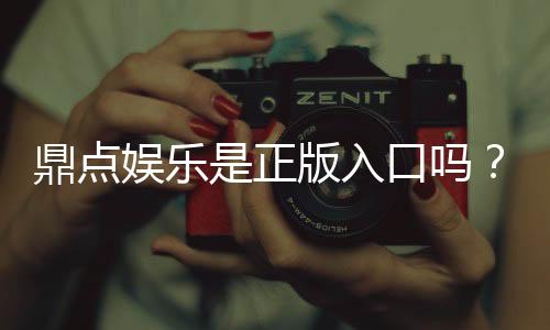 鼎点娱乐是正版入口吗?揭秘平台资质与安全游戏攻略