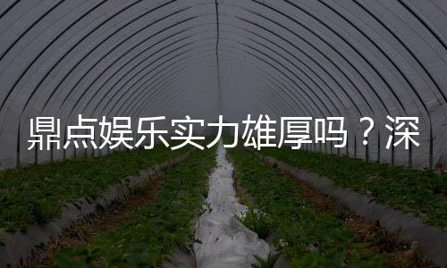 鼎点娱乐实力雄厚吗？深度解析其平台优势与玩家真实体验