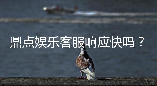 鼎点娱乐客服响应快吗？实测体验告诉你答案
