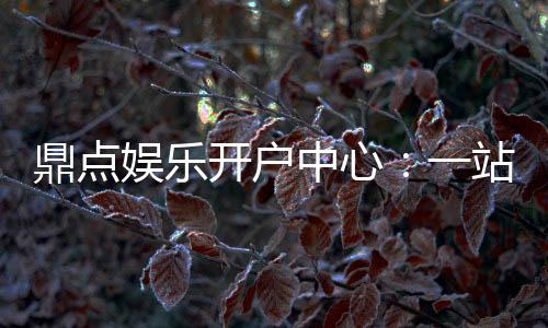 鼎点娱乐开户中心：一站式注册指南与优惠活动详解