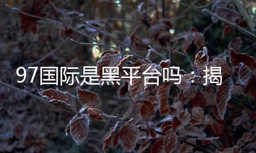 97国际是黑平台吗：揭秘真相
