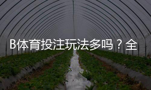 B体育投注玩法多吗？全面解析玩法种类、规则与新手投注技巧