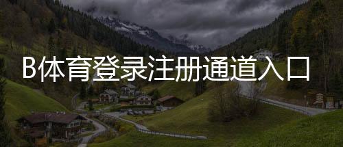 B体育登录注册通道入口与详细步骤：新手快速注册与安全登录指南