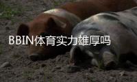 BBIN体育实力雄厚吗？权威评测：平台背景、安全性与优势全面解析