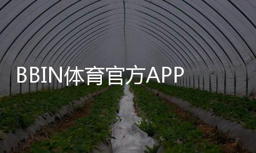 BBIN体育官方APP下载教程:安卓版苹果版安装与注册登录全攻略