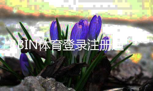 BBIN体育登录注册通道详解：新手快速注册登录步骤与常见问题解决