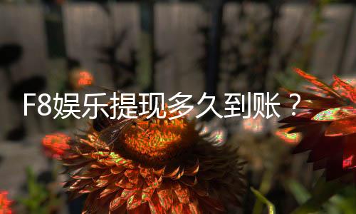 F8娱乐提现多久到账？到账时间及流程详解