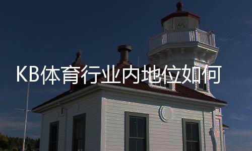 KB体育行业内地位如何？市场份额、竞争优势与未来发展前景全面解析
