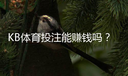 KB体育投注能赚钱吗?真实评测:赚钱概率、常见套路与风险解析