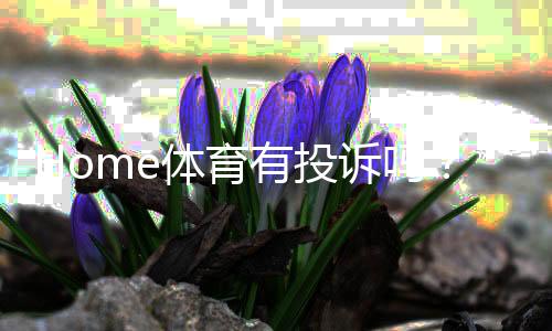 Home体育有投诉吗？用户真实反馈与投诉处理流程解析