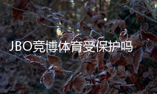 JBO竞博体育受保护吗？平台安全、法律合规与用户维权全面解析
