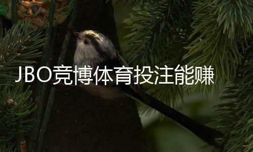 JBO竞博体育投注能赚钱吗?真相揭晓:盈利方法、风险与新手必备攻略