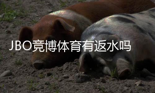 JBO竞博体育有返水吗？最新返水政策、领取方法与注意事项全面解析