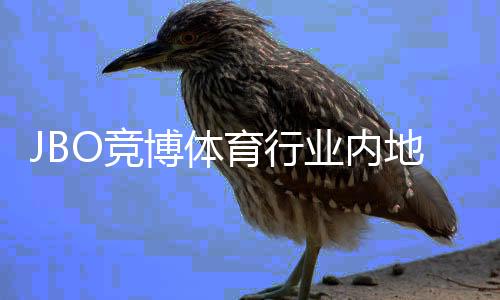 JBO竞博体育行业内地位如何？市场份额、口碑与竞争优势深度解析