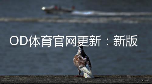 OD体育官网更新：新版功能详解与登录、投注操作全攻略