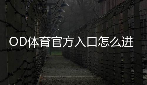 OD体育官方入口怎么进？最新登录方法、注册流程与常见问题全解析