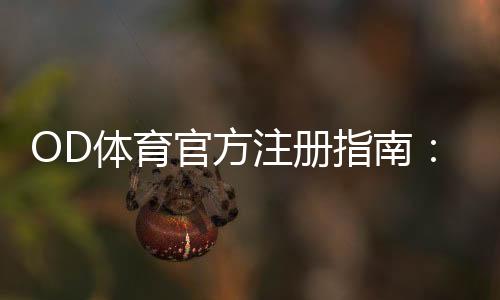 OD体育官方注册指南:官网开户步骤、实名认证与安全设置详解