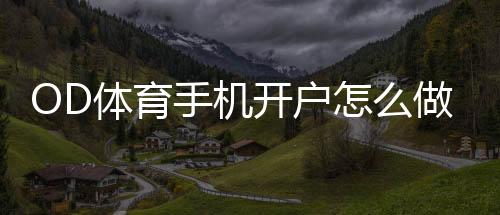 OD体育手机开户怎么做?新手快速注册步骤与安全注意事项详解