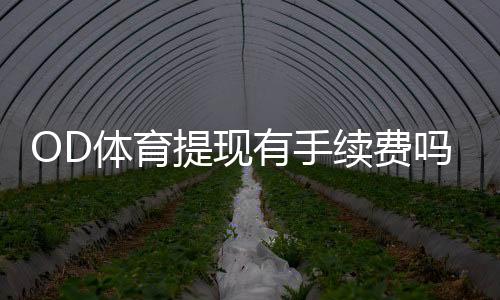 OD体育提现有手续费吗?最新手续费标准与免手续费攻略