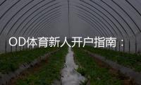 OD体育新人开户指南：注册流程、身份认证与首存优惠新手必看