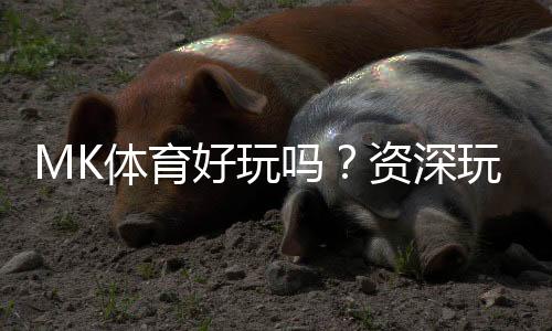 MK体育好玩吗？资深玩家带你揭秘真实体验与赢钱技巧